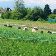 Les jardiniers du campus