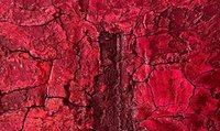 Ausschnitt eines abstrakten Kunstwerks. Es ist auffällig rot, die Farbe wurde sehr dick aufgetragen und hat viele Risse geformt. In der Mitte eine "Schlucht" mit weniger Farbe und dunklerem Rot.