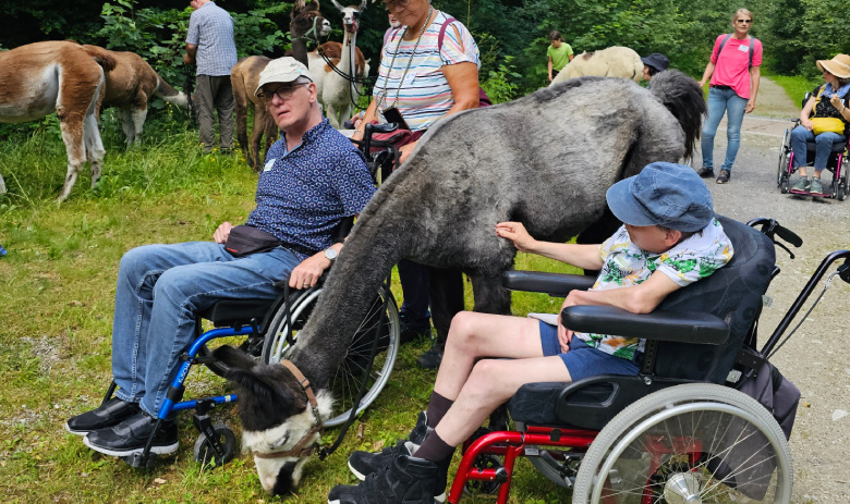 Personen mit und ohne Rollstuhl führen Lamas auf einem Weg im Freien.